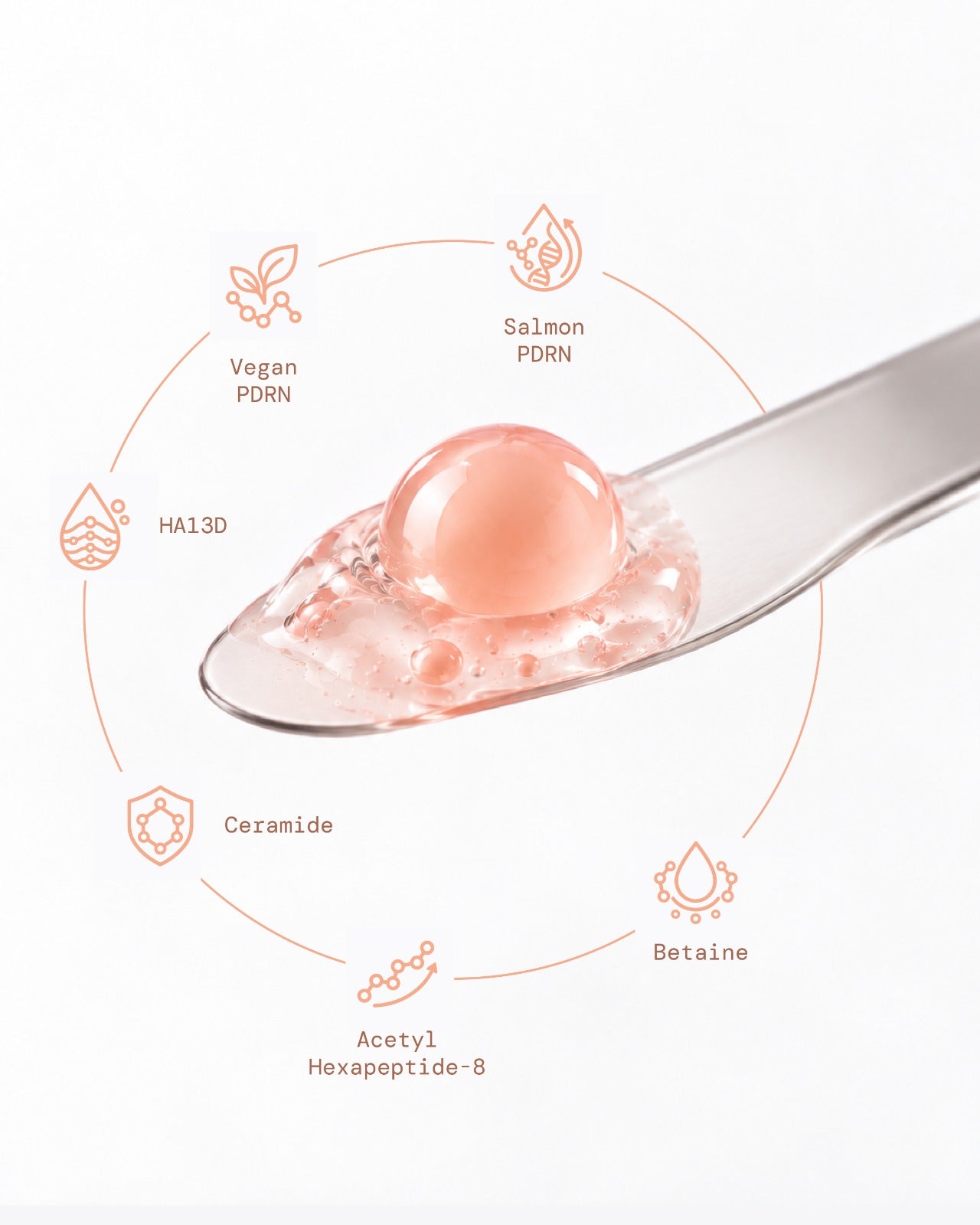 How PDRN Collagen Capsule Cream capsules release salmon PDRN and peptides on the skin